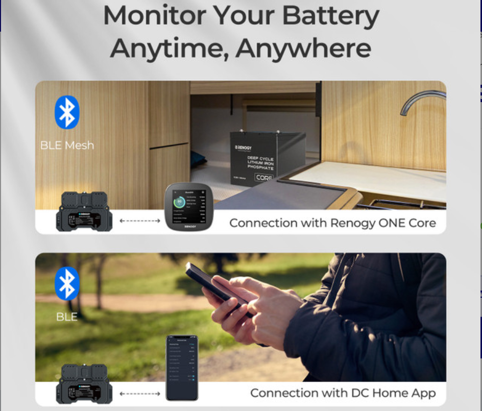 RENOGY Battery Shunt 300